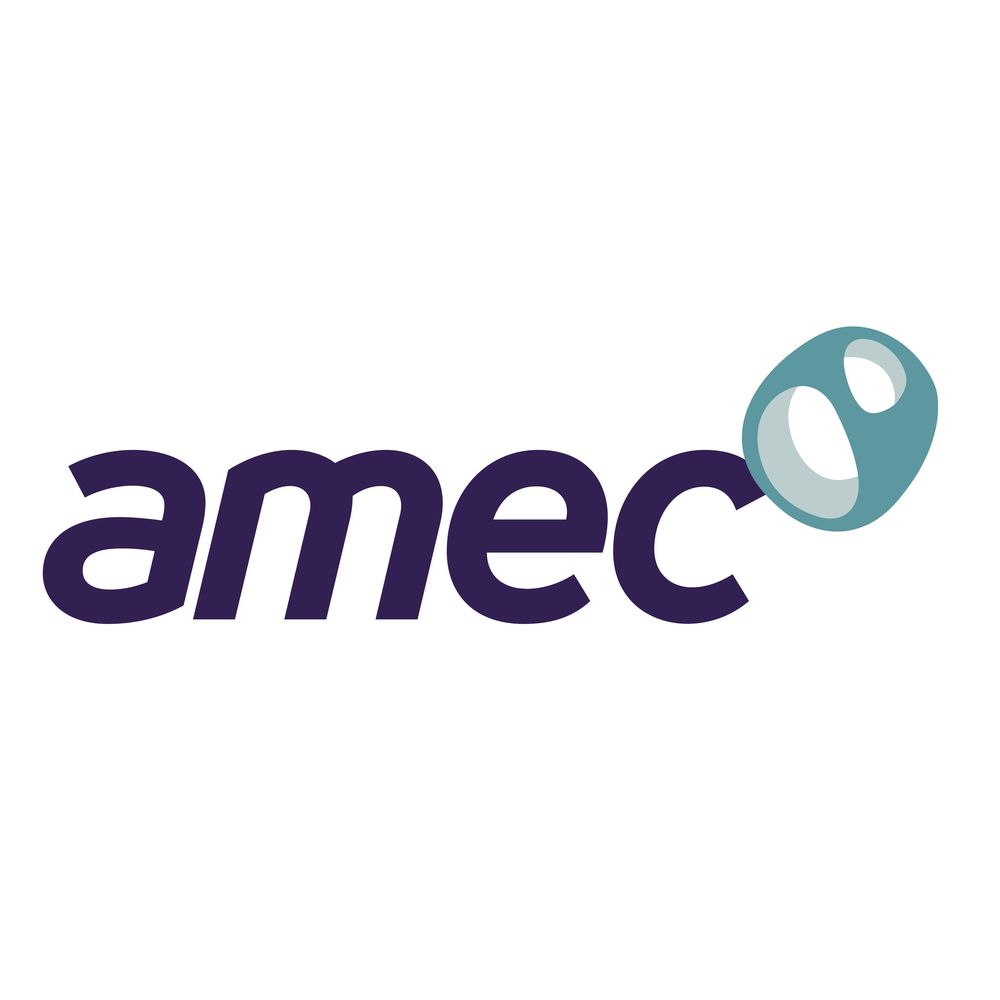 Amec, Logo