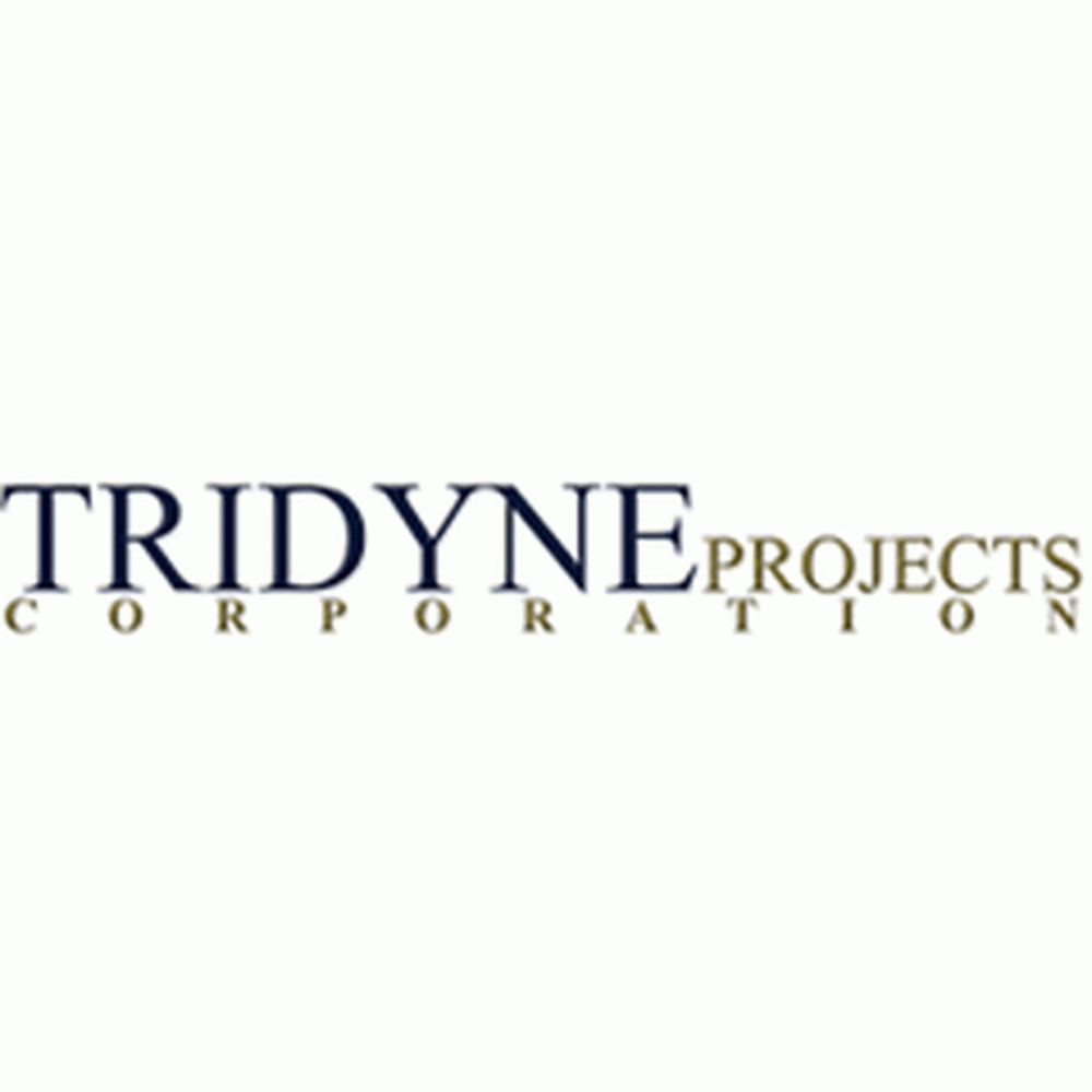 Tridyne Projects, Logo Tridyne Projects, Logo